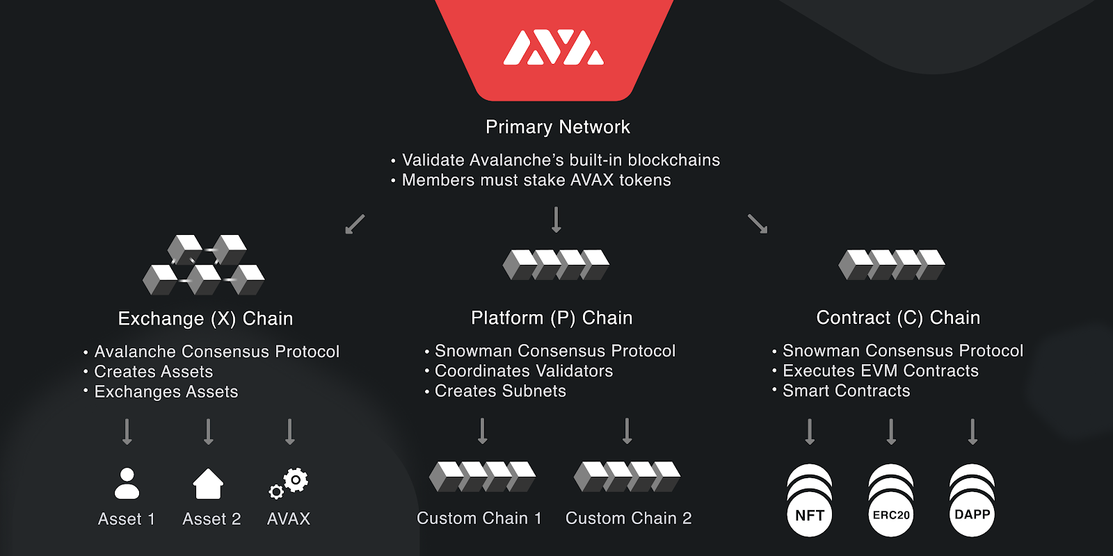 avalanche-primary-network-diagram