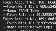 Sample Output: Token Log in Terminal