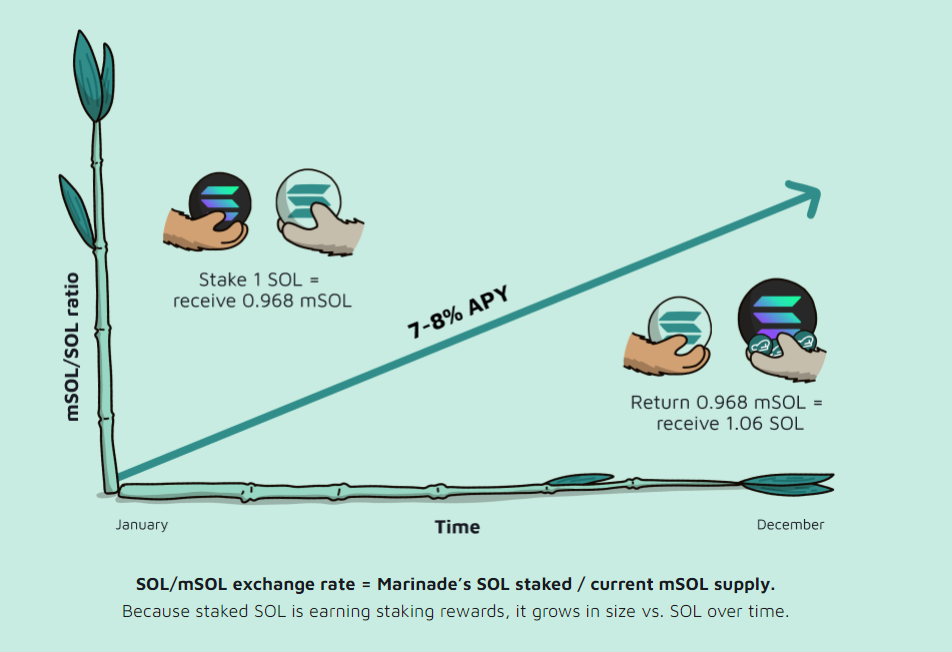 Liquid Staking Growth