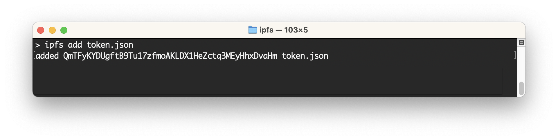 Local IPFS JSON Output