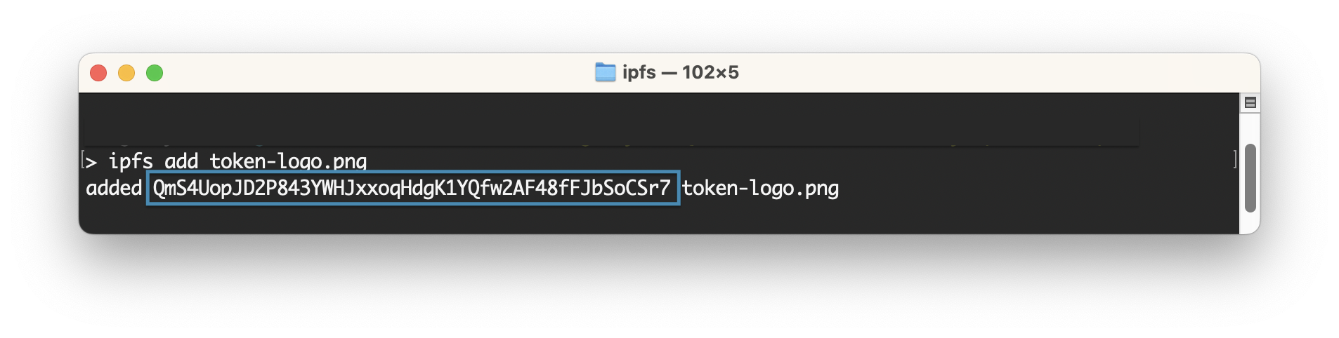 Local IPFS Output