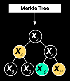 Merkle Tree