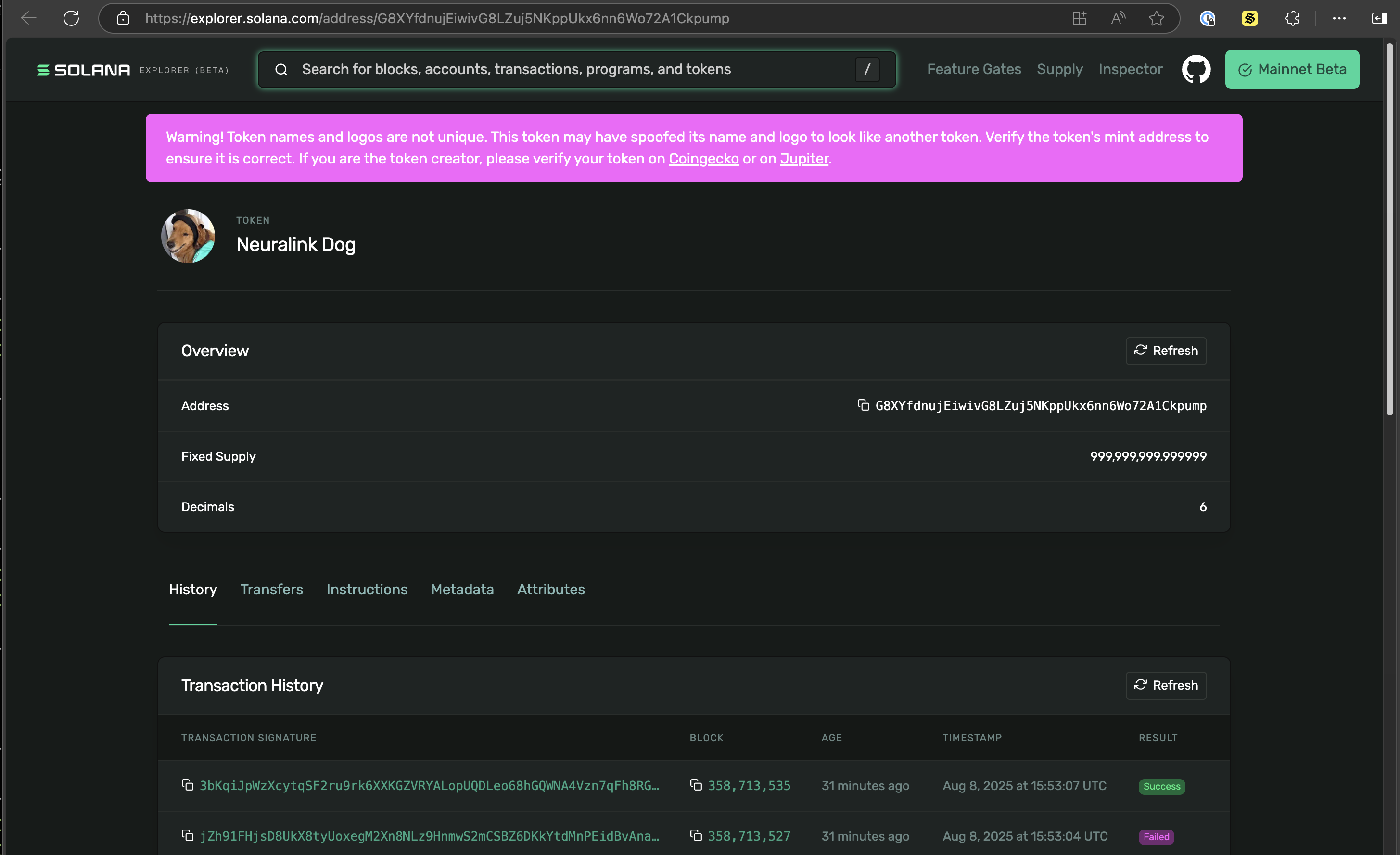 Mint Information in Solana Explorer